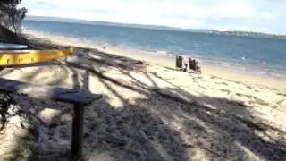 Holiday at Coochie Island, Victoria Point, Queensland, Aust