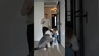500.000 Abonnees Cadeau!🎁 Heb jij huisdieren? 🤔