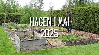 Hagen i mai | 2025