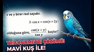1 SORU 1 YORUM - SINAVDA GELİRSE TEK TEK AÇMA!