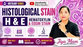 Histological staining: H & E (Haematoxylin & Eosin)