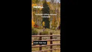 Autumn colors across Colorado