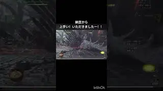 #ワイルズ#ワイワイルズ#ことまる#ゾシア
