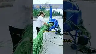 Garden Shredder Chaff Cutter for Maize Silage Alfalfa Straw