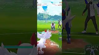 ✨Mega Absol V/S✨Mega Houndoom PVP Dark Battle in #pokemongo