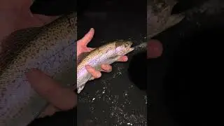 Super thin ice! #colorado #fishing #fish #sportfishing #troutfishing #icefishing #fyp