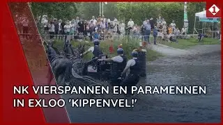 NK Vierspannen en Paramennen in Exloo: 'Kippenvel!'