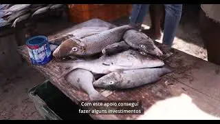 A Fisherman’s Journey: How UNDP and the Netherlands Are Supporting Livelihoods in Mozambique