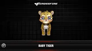 CF : Baby Tiger
