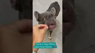 My 1st dog sitting client on Rover! 🐾💕