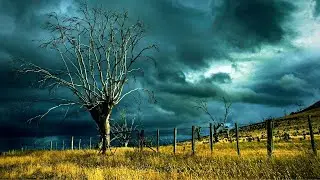 Let the Sound of Thunder and Lightning Help You Relax and Unwind
