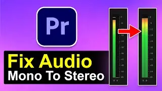 How To Make Audio Come Out Of Both Ears in Premiere Pro (Mono To Stereo)