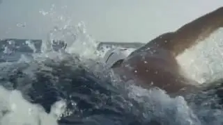 EUROBANK | Spiros Gianniotis TVC Extended Version DC