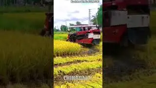 What an efficient machine