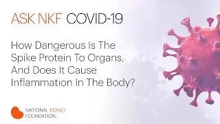 How Dangerous Is The Spike Protein?