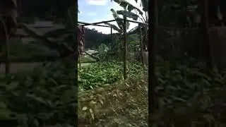 Kumba- Mamfe road attack 10/09/22 | General transporter | Ambazonia breaking news