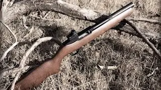 Ruger 10/22 SBR с глушителем