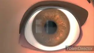 Female Eyes Close Up (Animated) Compilation 2#