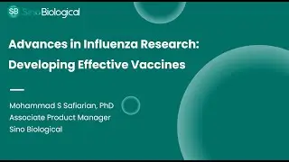 Advances in Influenza Research: Developing Effective Vaccines