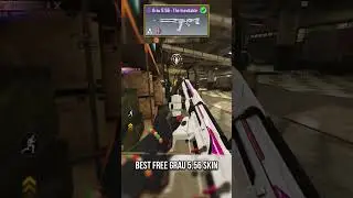 Best Free Grau 5.56 skin The Inevitable