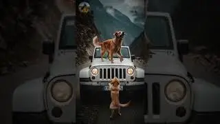 Hero Dog Blocks Car Seconds Before Deadly Landslide! ⛰️🐕