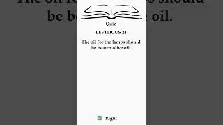 💡 Leviticus: Pure Light & Purpose ✨ (Olive Oil)