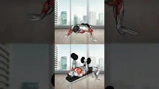 Chest Workout - Home Vs Gym