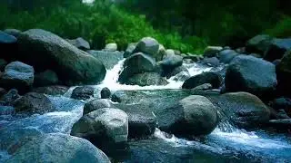 🌊 Gentle River Rapids ASMR Sounds for Deep Sleep, Relaxation & Stress Relief