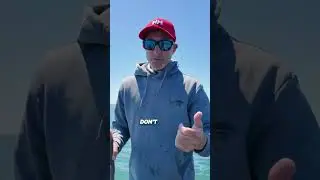 Let's Fish SA: 70% Of The Coastline is Clear