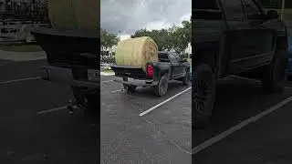 Things you see at Tractor Supply #shorts #hay #fyp #viral