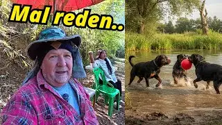 Winter in Thailand, Hunde & ehrliche Updates. Kein Kochstudio heute