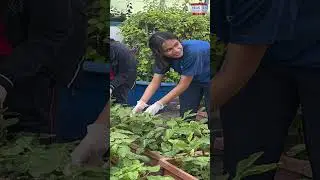 Dubai School Grows 100,000kg Produce, Leads in Sustainability | Top 5 Education News.