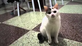 Madona com medo da camera