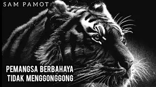 PEMANGSA BERBAHAYA || story wa harimau