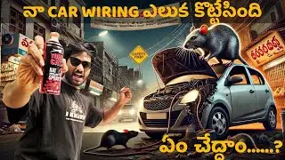 How to Prevent Rats from biting Car Wires | Protect Your Engine! 🚗🐭