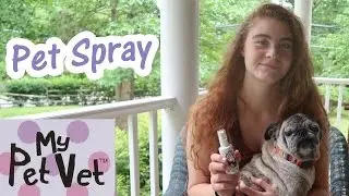 🐶 Обзор готового к применению средства для спрея My Pet Vet от проблем с кожей домашних животных 👈