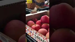 Mercato di porto ercole e orbetello