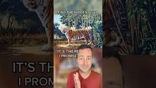 Can you find the hidden tiger? #shorts