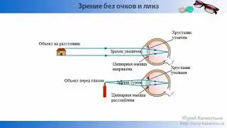 Зрение без очков и линз. urok2