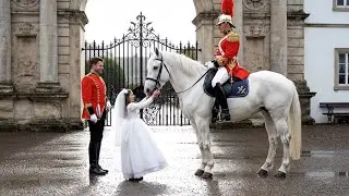 Unforgettable Moments of Respect Between Horses and People ✅