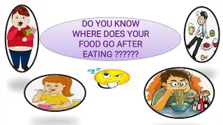 #FOOD#DIGESTIONPROCESS From Tasting To Digesting