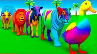 Long Slide Game With Cow Elephant Gorilla Hippopotamus Tiger - 3d Animal Game - Funny 3d Animals