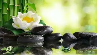 MUSIK RELAXASTION