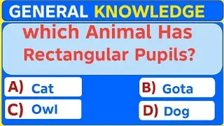 Only 5% Of People Can Score 25/25 on This General Knowledge Quiz!