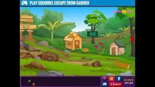 [Smile Clicker] Squirrel Escape from Garden Walkthrough