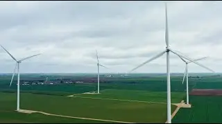 The Roads To Carbon Neutral: Pitching In