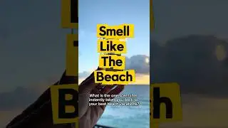 Perfumes that smell like the beach  #perfume #fragrance #shortsvideo