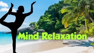 Meditation Music|Relaxing music|Insomnia|Mathematics Capture|Deep sleep|Meditation for 3 minute best