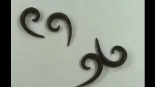 discounted organic body jewelry  wooden talon stretcher tapers organic earring WholesaleSarong.com