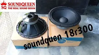 unboxing spiker 18 in soundqueen r300, spiker murah cocok untuk jenangan